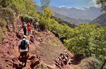 2 days Mount Toubkal Summit From Marrakesh 