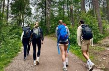 Oslo Fjord Panorama View - Scenic Forest Hike to the Top of Oslo