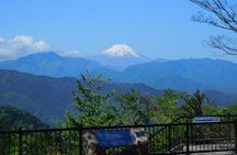 Tokyo: Mt. Takao Tour with Ramen and Tattoo-OK Hot Spring