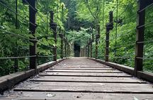 Tokyo: Mt. Takao Tour with Ramen and Tattoo-OK Hot Spring