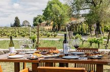 Familia Torres Winery: Gastronomic Tapas & Wine Experience