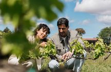Familia Torres Winery: Gastronomic Tapas & Wine Experience