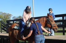 Guided Two Hour Horseback Trail Ride in Central Florida
