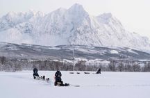 Fun & Easy Dog Sledding Adventure - Early Bird Tour