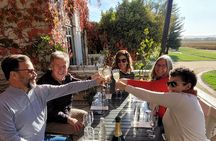 Valparaíso and Pacific Coast Viña del Mar and Casablanca Valley