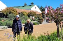 Valparaíso and Pacific Coast Viña del Mar and Casablanca Valley
