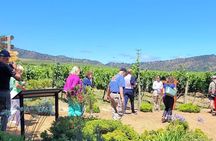 Valparaíso and Pacific Coast Viña del Mar and Casablanca Valley