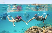 MIAMI: Key West Day Trip with Boating Options