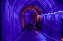Niagara Falls Tour: Power Station, Illumination Tower & Dinner