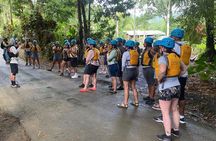El Yunque Rainforest and Zipline Canopy Combo Tour