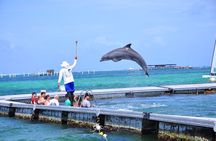 Private Catamaran for Your Group–Snorkeling, Music, Dominican Rum