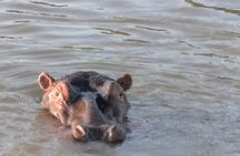 Isimangaliso WetLands Park (St Lucia)and DumaZulu Cultural Villag