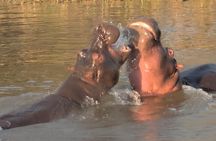 Isimangaliso WetLands Park (St Lucia)and DumaZulu Cultural Villag