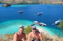 Sailing to Komodo island trip 4D 3N from lombok