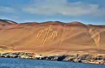 Full day Paracas Ica Basic from Miraflores