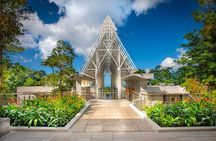 Discover El Yunque National Park: Half-Day Rainforest Tour