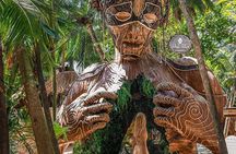 Tulum , Cenote tortuga , Nature statue and Playa del carmen