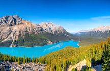 Athabasca Glacier and Skywalk Small Group Tour with Lunch