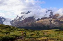 Glacier Adventure on the Icefields Parkway Hidden Gems Skywalk