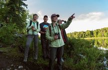 Talkeetna Lakes Hike Guided by a Naturalist