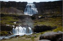 Dynjandi Waterfall, Fishing Village, and Bird Sanctuary 