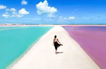 Rio Lagartos and Las Coloradas Day Tour from Cancun
