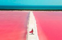 Rio Lagartos and Las Coloradas Day Tour from Cancun