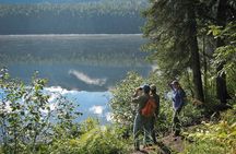 Talkeetna Lakes Hike Guided by a Naturalist