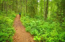 Talkeetna Lakes Hike Guided by a Naturalist