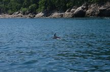 Snorkeling adventure EN Playas Escondidas
