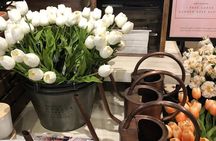 Waco & Magnolia Market at the Silos Day Tour