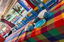 Tour to Xochimilco and Coyoacan and Frida Khalo