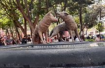 Tour to Xochimilco and Coyoacan and Frida Khalo