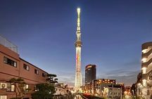 Private Tokyo Night Tour 