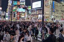 Private Tokyo Night Tour 