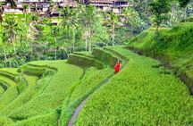 Discover The Best of Ubud: All-Inclusive and Private Guided Tour