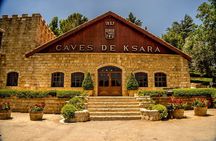 Exploring Ancient Wonders, Vineyard Delights, and Majestic Cedars
