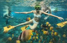 Nusa Penida Highlight Snorkeling Manta Rays & Land Tour West Side