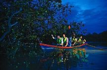 Enchanting Evenings: Fireflies & Blue Tears Tour with Dinner