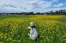 Jeju WEST&SOUTH One Day Tour with MT.halla & UNESCO