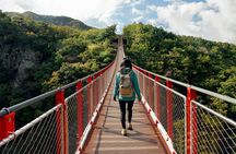 DMZ Guided Tour & Suspension Bridge / North Korean Defector