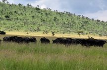 3 Days Masai Mara Safari