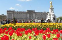 Buckingham Palace tickets and Semi Private Change of the Guard