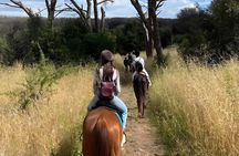 Horseback Riding Experience in Castel Fusano near Rome