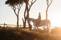 Horseback Riding Experience in Castel Fusano near Rome