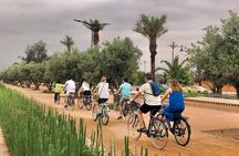 #1st Marrakech’s Best Cycling Tour: Culture, Colors, and Charm 