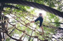 High Ropes and Adventure Tree Top Experience