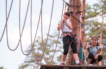 High Ropes and Adventure Tree Top Experience