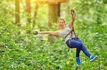 High Ropes and Adventure Tree Top Experience
