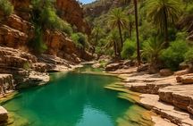 Private Guided Tour to Paradise Valley and Taghazout village 